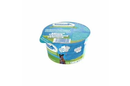 Hundeeis Shrimps Ananas