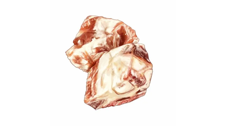 Rinderbrustbein gesägt